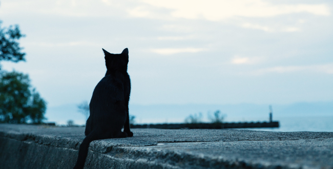 創作者が萌え製造機扱いにつらくなる理由と原因について考えてみた