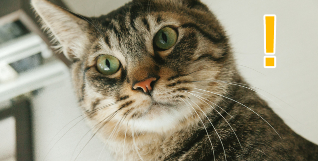 過去に受けた傷がうずく時には「これは過去の傷」と気づくことが重要