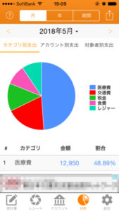 毎日家計簿のグラフ