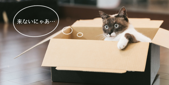 Amazonの配達が来ない！引越してないのに転居先不明の時の解決法